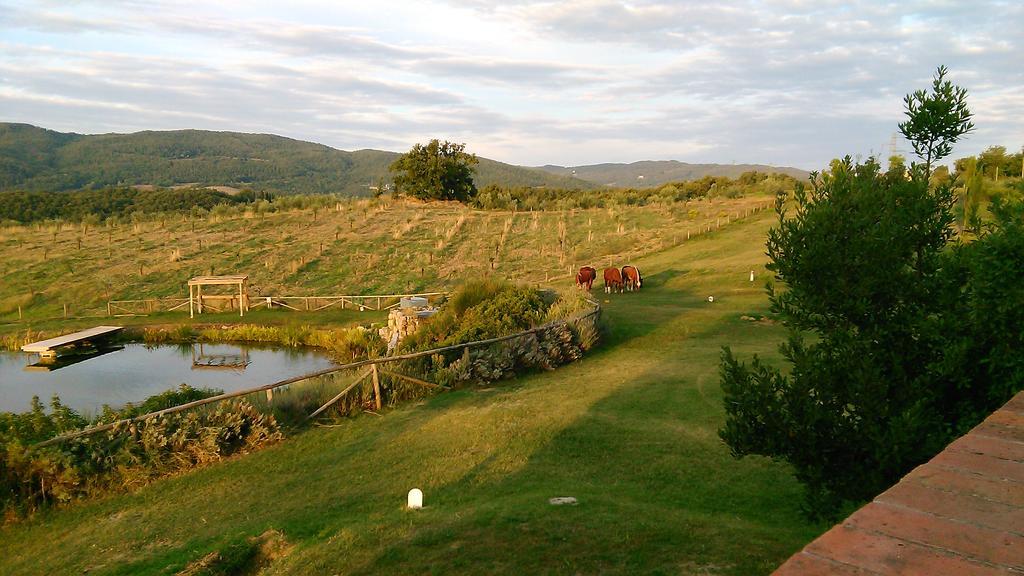 Fattoria San Paolo Agriturismo Montecastelli Pisano Dış mekan fotoğraf