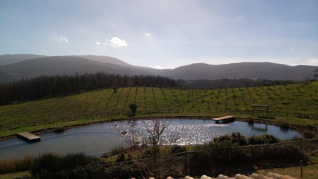 Fattoria San Paolo Agriturismo Montecastelli Pisano Dış mekan fotoğraf