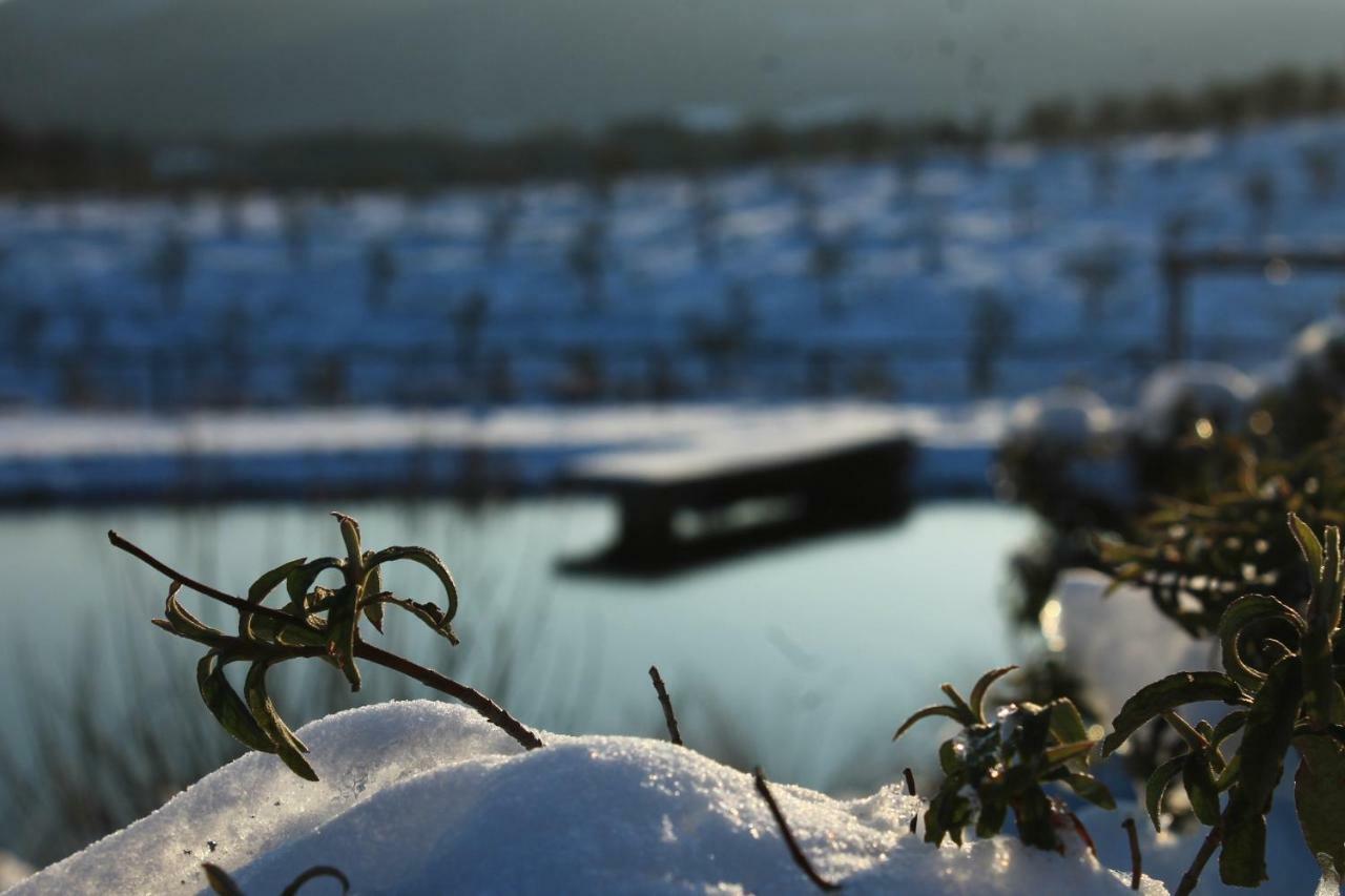 Fattoria San Paolo Agriturismo Montecastelli Pisano Dış mekan fotoğraf