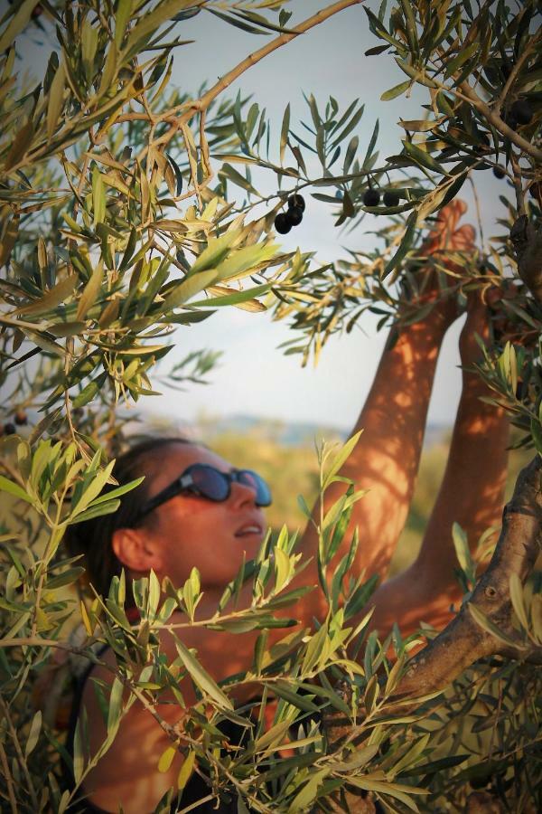Fattoria San Paolo Agriturismo Montecastelli Pisano Dış mekan fotoğraf
